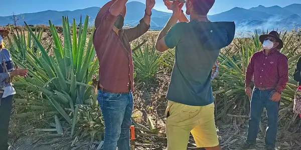 Authentic Experiences